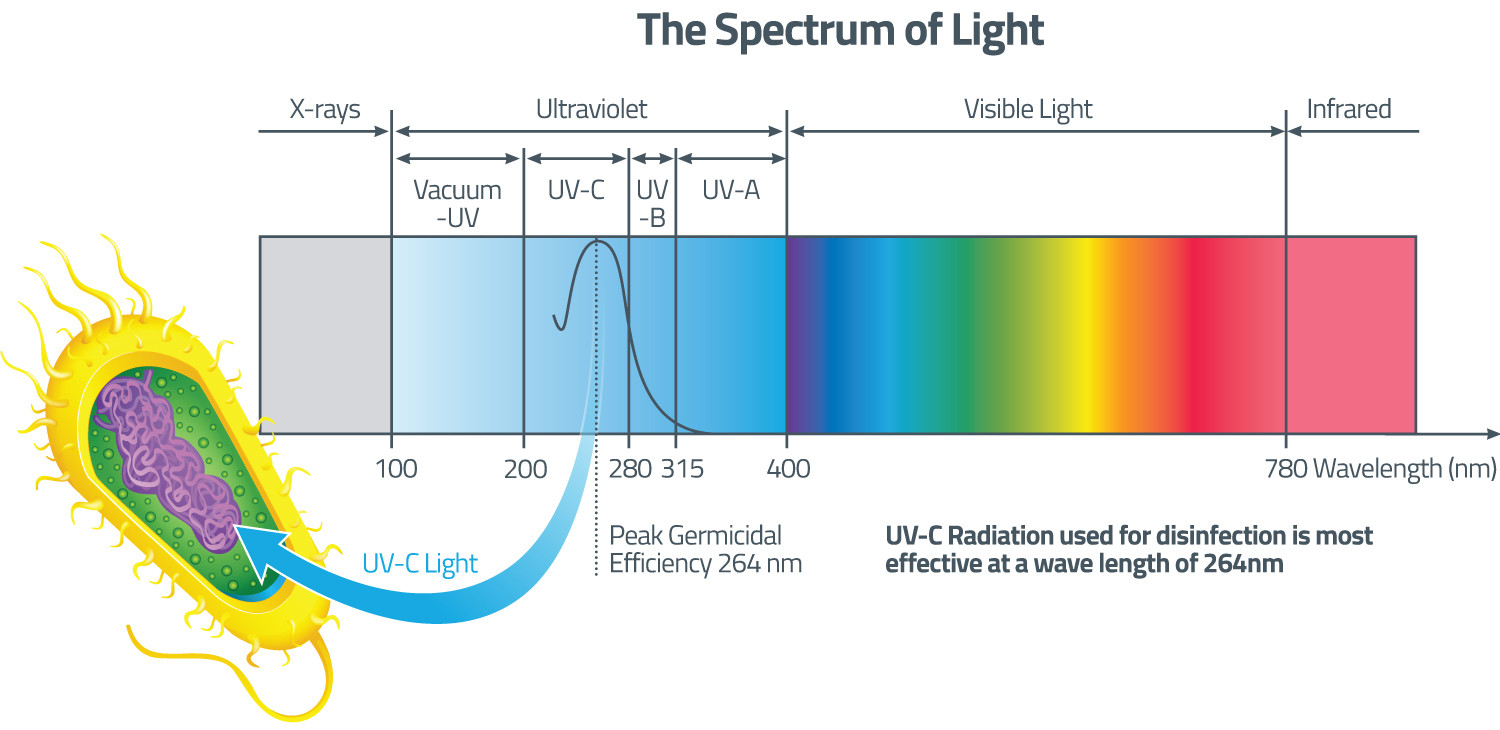 UV radiation spectrum UVA, UVB and UVC