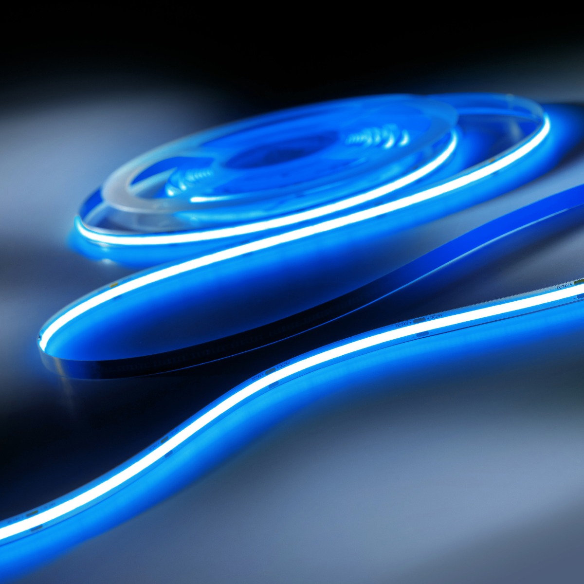 LumiFlex COB tira LED con luz continua Azul 590lm 24V rollo 5m (118lm/m y 6,68W/m)