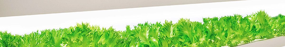Aprovechar la iluminación artificial para revolucionar la agricultura y evitar hambrunas
