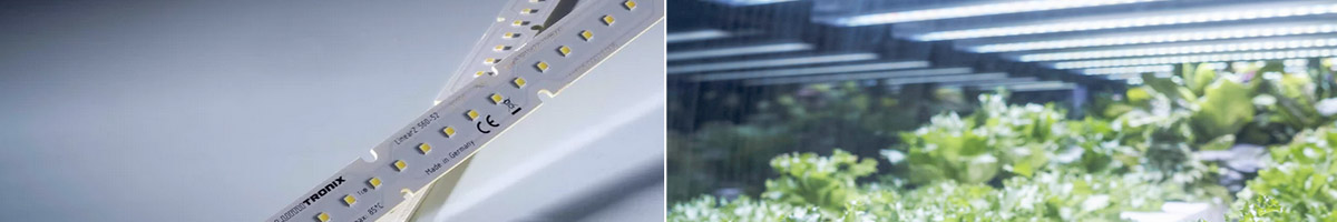 Iluminación hortícola de alto rendimiento con módulos LED